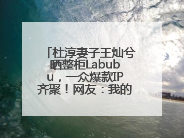 杜淳妻子王灿兮晒整柜Labubu，一众爆款IP齐聚！网友：我的 “梦中情柜”