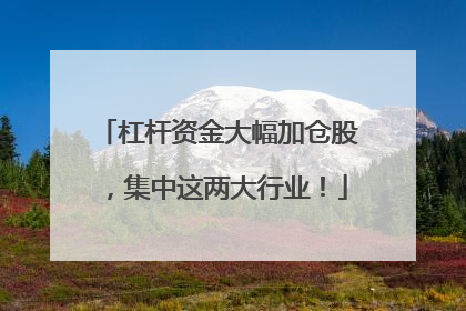 杠杆资金大幅加仓股，集中这两大行业！