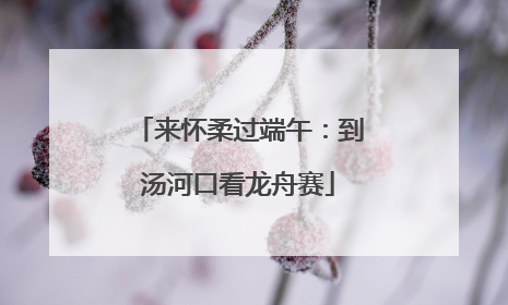 来怀柔过端午：到汤河口看龙舟赛
