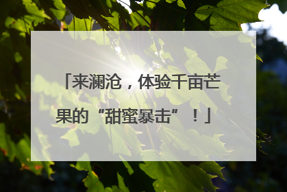 来澜沧，体验千亩芒果的“甜蜜暴击”！