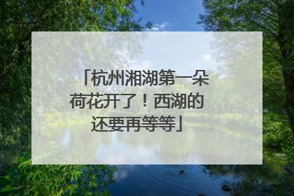 杭州湘湖第一朵荷花开了！西湖的还要再等等