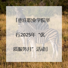 枣庄职业学院举行2025年“优质服务月”活动