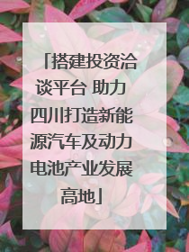 搭建投资洽谈平台 助力四川打造新能源汽车及动力电池产业发展高地