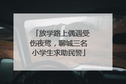 放学路上偶遇受伤夜鹭，聊城三名小学生求助民警