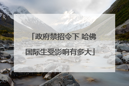 政府禁招令下 哈佛国际生受影响有多大