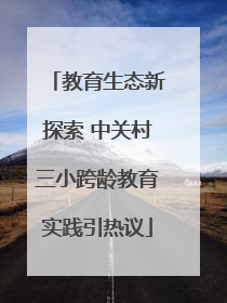 教育生态新探索 中关村三小跨龄教育实践引热议