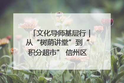 文化导师基层行｜从“树荫讲堂”到“积分超市” 信州区基层治理有实招