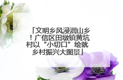 文明乡风浸润山乡！广信区田墩镇黄坑村以“小切口”绘就乡村振兴大图景
