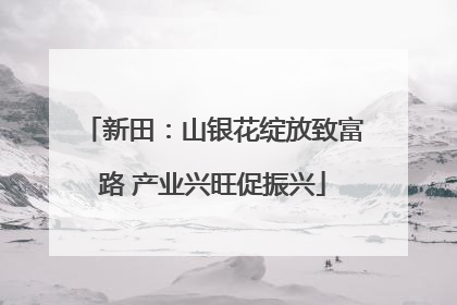 新田：山银花绽放致富路 产业兴旺促振兴