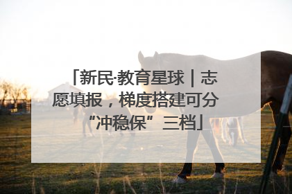 新民·教育星球｜志愿填报，梯度搭建可分“冲稳保”三档