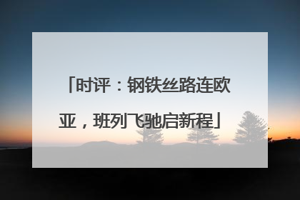 时评：钢铁丝路连欧亚，班列飞驰启新程