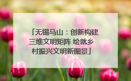 无锡马山：创新构建三维文明矩阵 绘就乡村振兴文明新图景