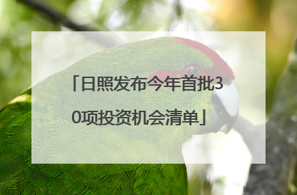 日照发布今年首批30项投资机会清单