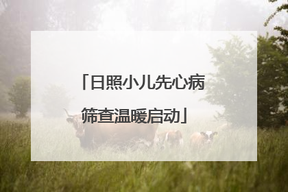 日照小儿先心病筛查温暖启动