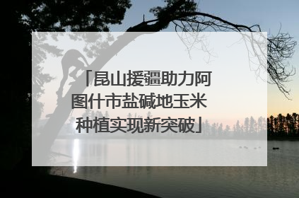 昆山援疆助力阿图什市盐碱地玉米种植实现新突破