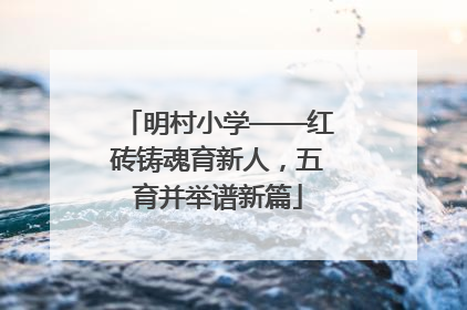 明村小学——红砖铸魂育新人，五育并举谱新篇
