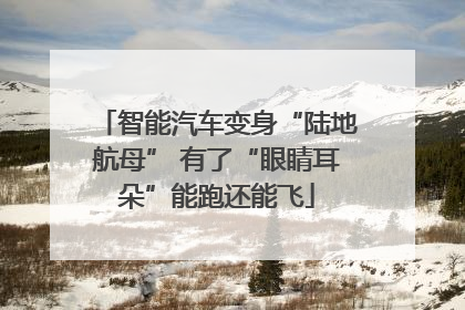 智能汽车变身“陆地航母” 有了“眼睛耳朵”能跑还能飞