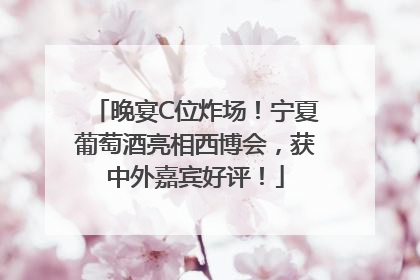 晚宴C位炸场！宁夏葡萄酒亮相西博会，获中外嘉宾好评！