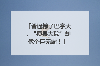 普通粽子巴掌大，“横县大粽”却像个巨无霸！