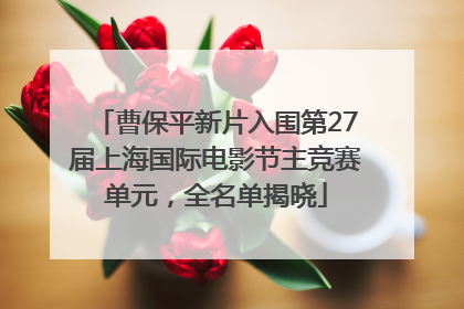 曹保平新片入围第27届上海国际电影节主竞赛单元，全名单揭晓
