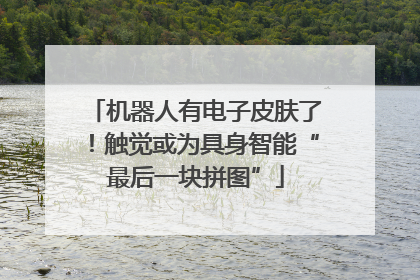 机器人有电子皮肤了！触觉或为具身智能“最后一块拼图”