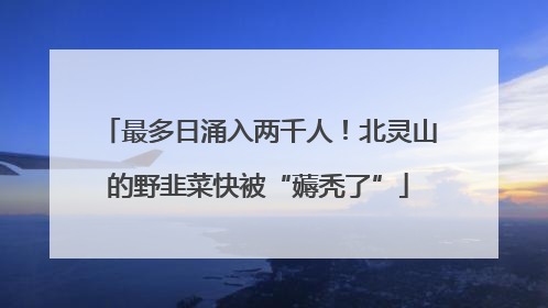 最多日涌入两千人！北灵山的野韭菜快被“薅秃了”
