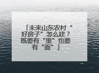 未来山东农村“好房子”怎么建？既要有“里”也要有“面”