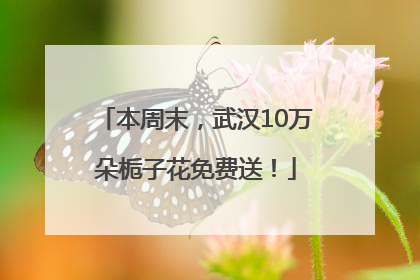 本周末，武汉10万朵栀子花免费送！