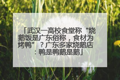 武汉一高校食堂称“烧鹅饭是广东俗称，食材为烤鸭”？广东多家烧鹅店：鸭是鸭鹅是鹅