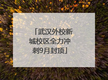 武汉外校新城校区全力冲刺9月封顶