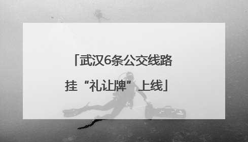 武汉6条公交线路挂“礼让牌”上线