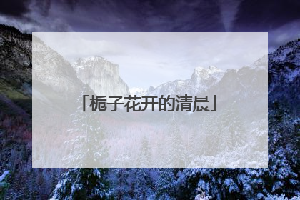 栀子花开的清晨