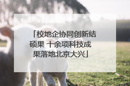 校地企协同创新结硕果 十余项科技成果落地北京大兴