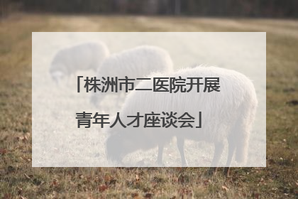 株洲市二医院开展青年人才座谈会