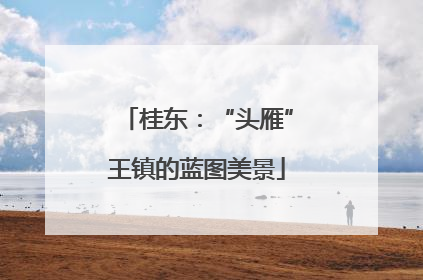 桂东：“头雁”王镇的蓝图美景