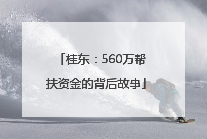 桂东：560万帮扶资金的背后故事