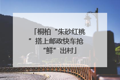 桐柏“朱砂红桃”搭上邮政快车抢“鲜”出村