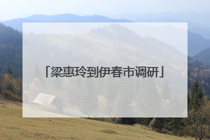 梁惠玲到伊春市调研