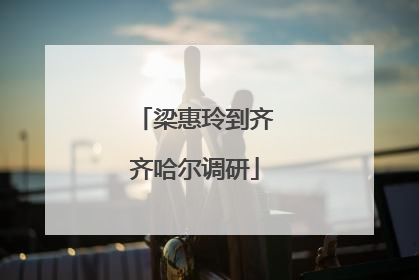 梁惠玲到齐齐哈尔调研