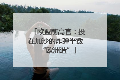 欧盟前高官：投在加沙的炸弹半数“欧洲造”