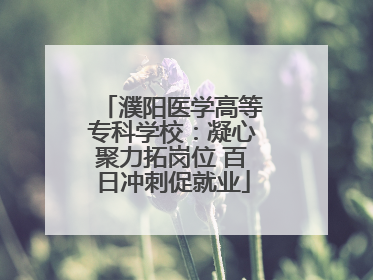 濮阳医学高等专科学校：凝心聚力拓岗位 百日冲刺促就业