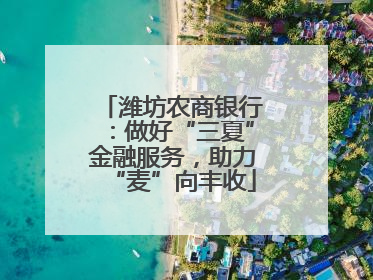 潍坊农商银行：做好“三夏”金融服务，助力“麦”向丰收