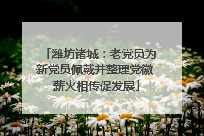 潍坊诸城：老党员为新党员佩戴并整理党徽 薪火相传促发展