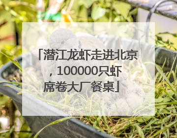 潜江龙虾走进北京，100000只虾席卷大厂餐桌