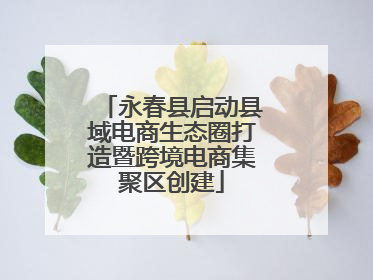 永春县启动县域电商生态圈打造暨跨境电商集聚区创建