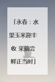 永春：水果玉米迎丰收 采摘尝鲜正当时