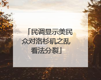 民调显示美民众对洛杉矶之乱看法分裂
