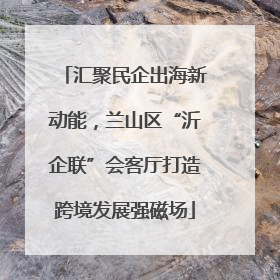 汇聚民企出海新动能，兰山区“沂企联”会客厅打造跨境发展强磁场