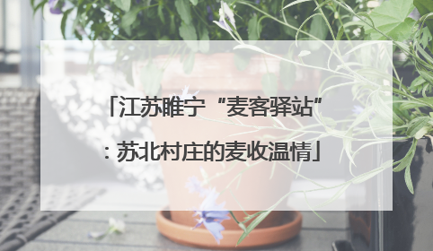 江苏睢宁“麦客驿站”：苏北村庄的麦收温情