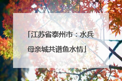 江苏省泰州市：水兵母亲城共谱鱼水情